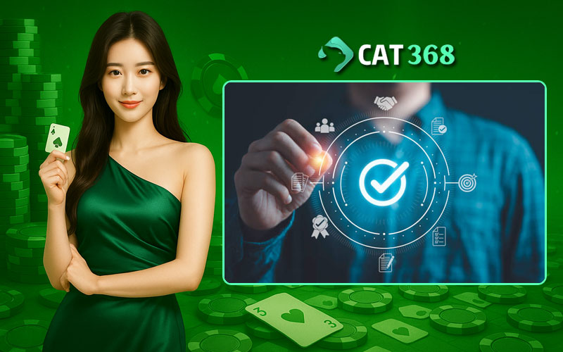 Tổng hợp 5 kênh liên hệ Cat368